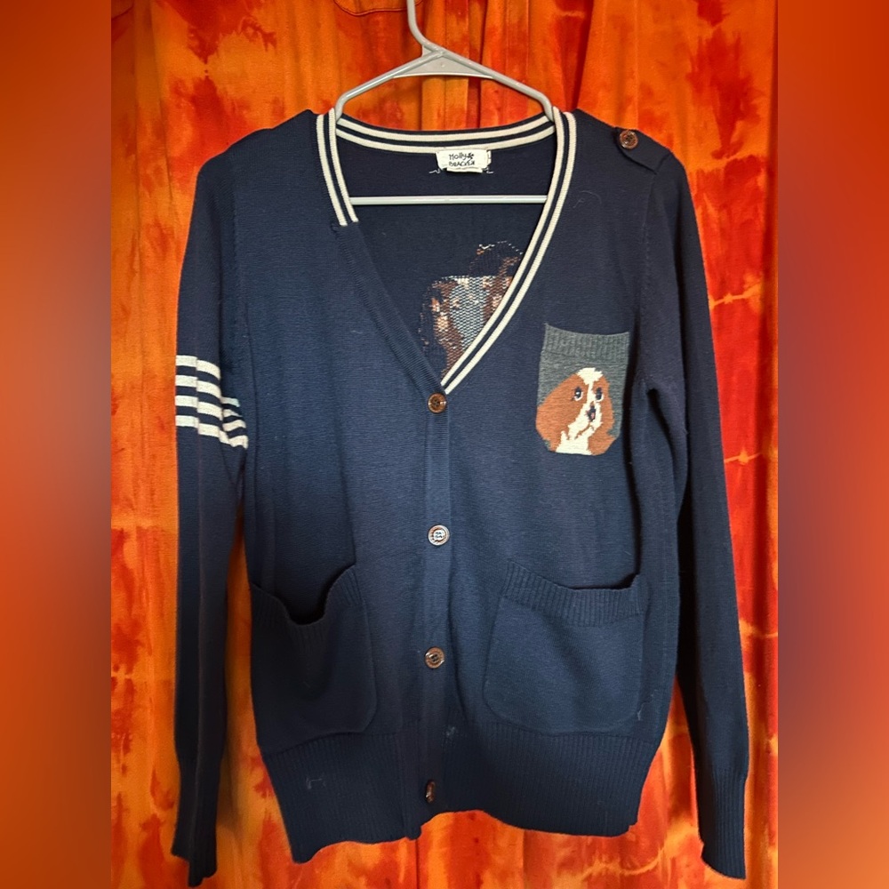 Cutest little dog sweater by Molly Braken